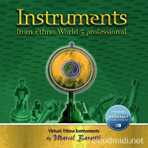 Best Service Ethno World 5 Instruments | 8GB
