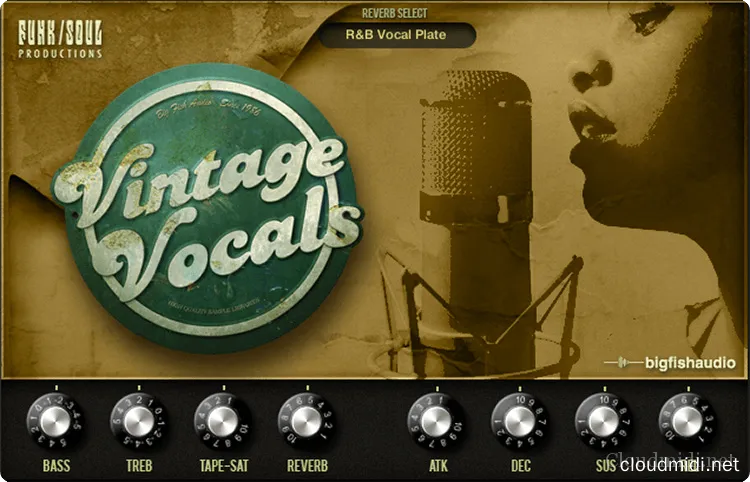 Big Fish Audio Vintage Vocals Kontakt 