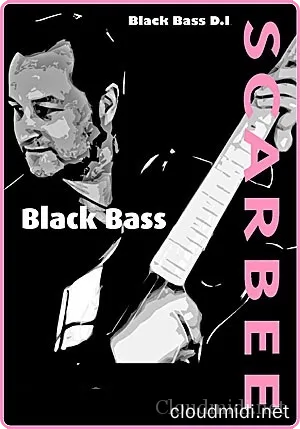 Scarbee Black Bass DI Kontakt | 大小：1.2 GB