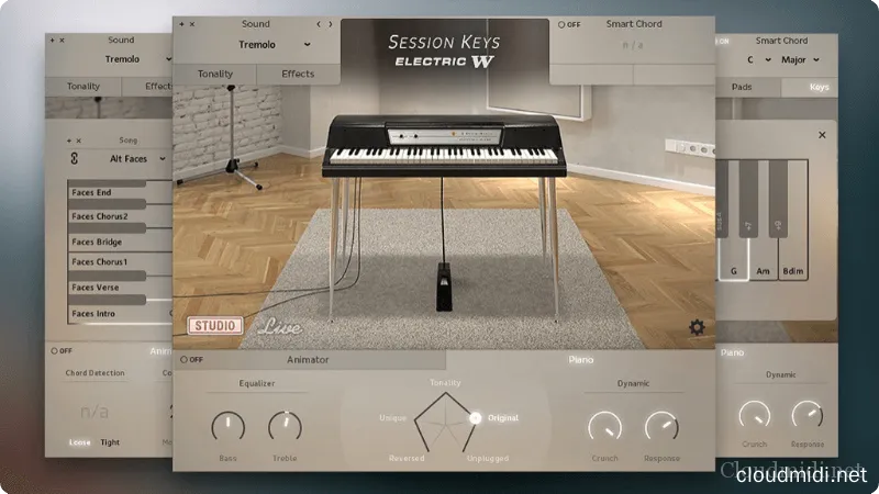 e-instruments Session Keys Electric W Kontakt