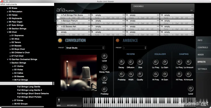 Garritan Personal Orchestra 5+ARIA Player WiN-MAC