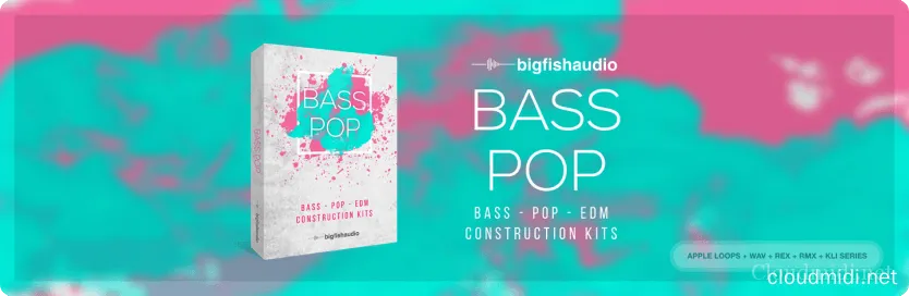 Big Fish Audio Bass Pop EDM Kontakt