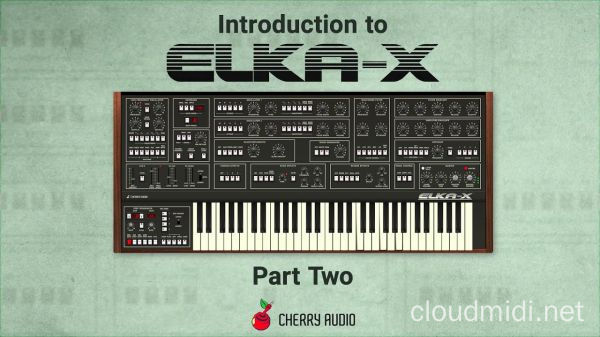 模拟合成器-Cherry Audio Elka-X v1.0.5.85 R2R [WiN] :-1