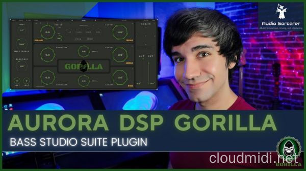 贝斯放大器插件-Aurora DSP Gorilla Bass Studio Suite v1.0 MOCHA-win :-1