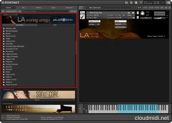 拉丝弦乐音源捆绑包-AudioBro LASS Bundle Kontakt :-1
