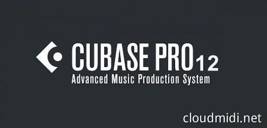 音乐制作宿主软件-Steinberg Cubase Pro v12.0.52 VR-win :-1