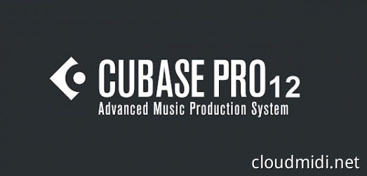 音乐制作宿主软件-Steinberg Cubase Pro v12.0.52 VR-win :-1 音乐制作宿主软件-Steinberg Cubase Pro v12.0.52 VR-win :-1