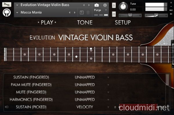 小提琴形电贝司音色库-Orange Tree Samples Evolution Vintage Violin Bass Kontakt :-1