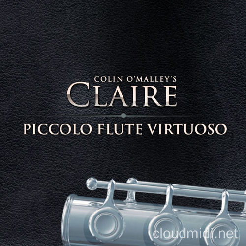 古典短笛音色库-8Dio Claire Piccolo Flute Virtuoso Kontakt :-1