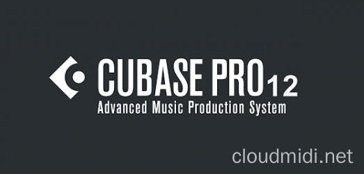 音乐制作宿主软件-Steinberg Cubase Pro v12.0.52 VR-mac :-1