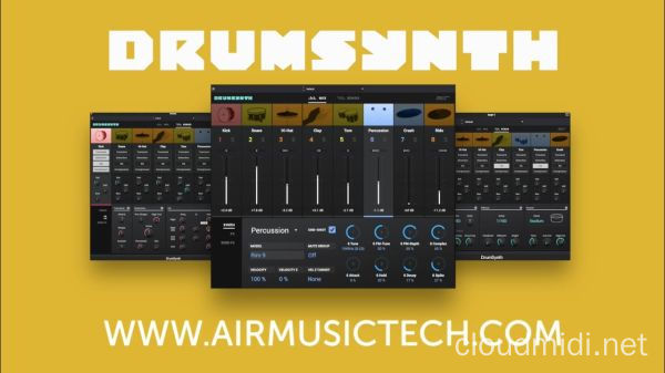 合成器鼓机插件-AIR Music Technology DrumSynth v1.0.0 R2R-win :-1