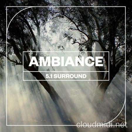 环绕声音景氛围采样-Blastwave FX Ambiance 5.1 Surround WAV :-1