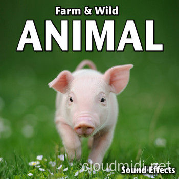 农场&野生动物主题音效包-Sound Ideas Farm & Wild Animal Sound Effects :-1