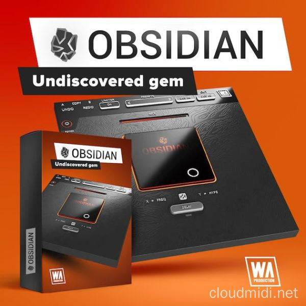 多功能调制效果器-W.A.Production Obsidian v1.0.0 WiN-MAC :-1