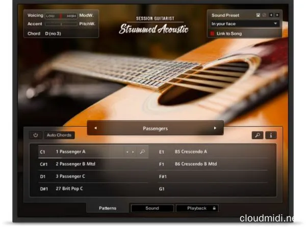 扫弦木吉他-Session Guitarist Strummed Acoustic 1.1.0 Kontakt :-1