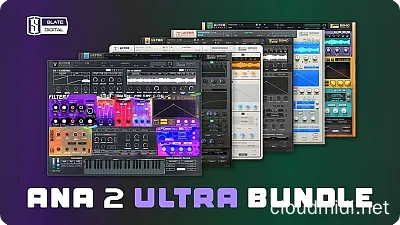 电子合成器套装版-Slate Digital ANA2 Ultra Bundle v2.5.3 R2R-win :-1