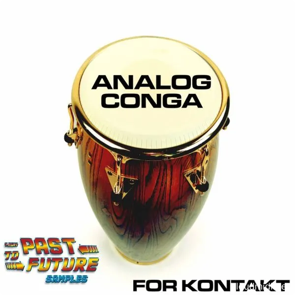 康加鼓音色库-PastToFutureReverbs Analog Conga Percussion KONTAKT :-1