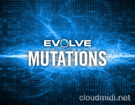 电影节奏及旋律音源 Native Instruments Evolve Mutations Kontakt :-1
