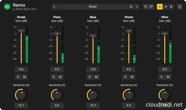 人声乐器分离插件-Acon Digital Remix v1.0.5 R2R-win :-1 人声乐器分离插件-Acon Digital Remix v1.0.5 R2R-win :-1