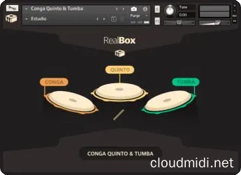 康加鼓音色-Conga Quinto and Tumba v1.0 Kontakt :-1