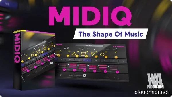 智能和弦midi生成插件-W.A. Production MIDIQ v1.0.1 TC-win :-1