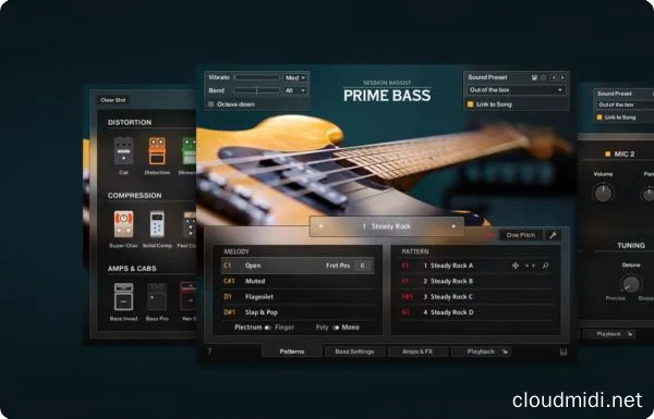 传奇电贝司音色-Native Instruments Session Bassist Prime Bass v1.0.1 Kontakt :-1