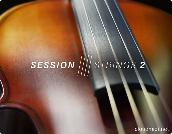 现代录音室弦乐音色-Native Instruments Session Strings 2 v1.0.1 Kontakt :-1