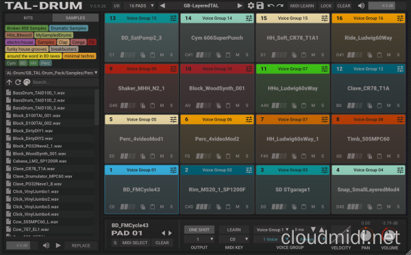 鼓机采样器-Togu Audio Line TAL-Drum v2.2.0 MacOS-MORiA :-1