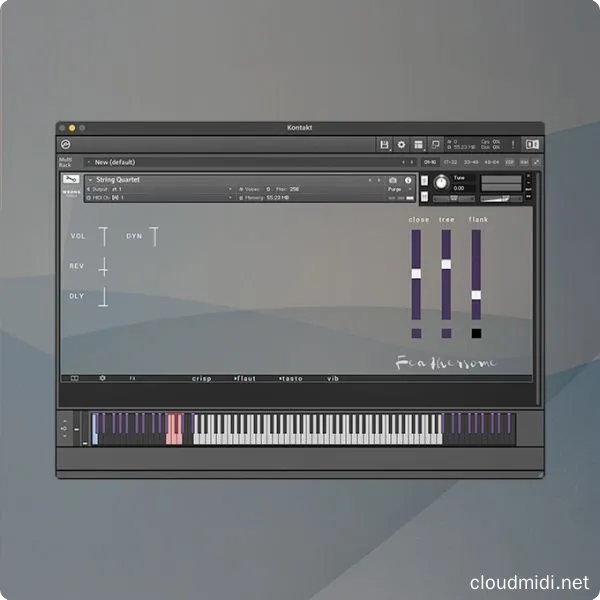 弦乐四重奏音色-Wrongtools Feathersome Strings Kontakt :-1