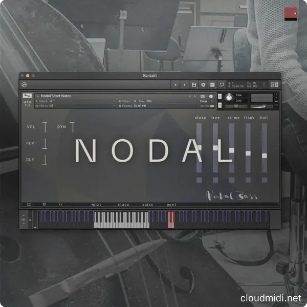 低音提琴音色-Wrongtools Nodal Kontakt :-1 低音提琴音色-Wrongtools Nodal Kontakt :-1
