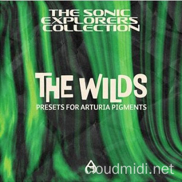 合成器预设包-Audio Juice The Wilds Arturia Pigments Bank :-1