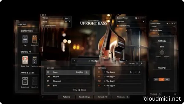 立式原声贝司音色-Native Instruments Session Bassist Upright Bass Kontakt :-1