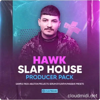 电音采样工程预设包-Studio Tronnic HAWK Slap House Producer Pack :-1