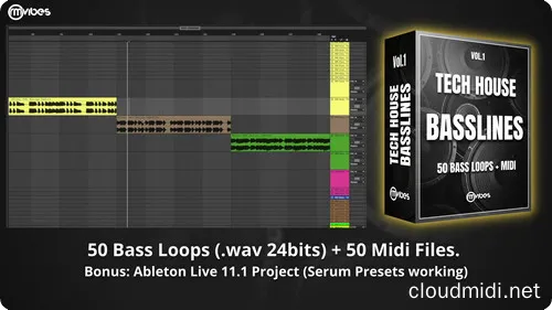 电音采样工程包-RM Vibes Tech House Basslines WAV MIDI ALP :-1