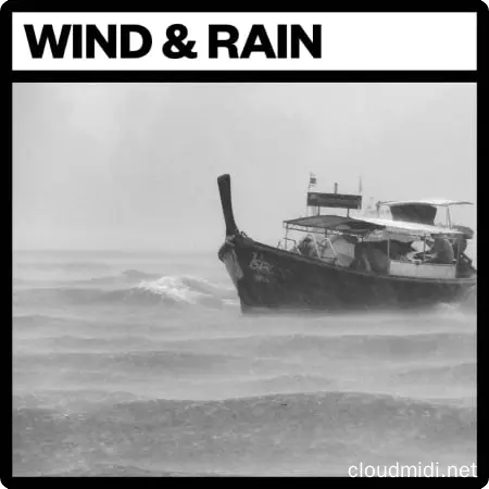 风雨声音效包-Big Room Sound Wind and Rain WAV :-1