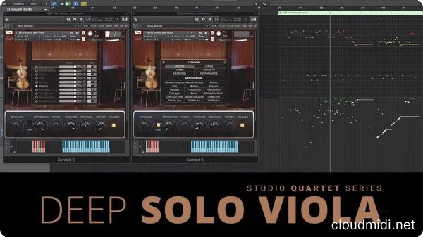 深情独奏中提琴音色-8Dio Studio Quartet Series Deep Solo Viola Kontakt :-1 深情独奏中提琴音色-8Dio Studio Quartet Series Deep Solo Viola Kontakt :-1