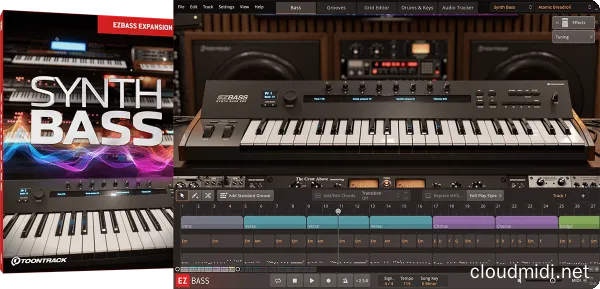 Toontrack Synth Bass EBX SOUNDBANK :-1