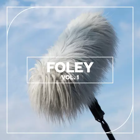 Blastwave FX Foley Vol 1 WAV :-1