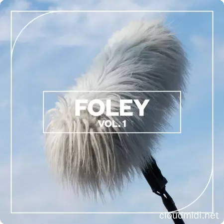 Blastwave FX Foley Vol 1 WAV :-1