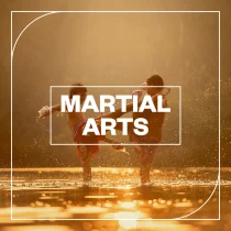 Blastwave FX Martial Arts WAV :-1