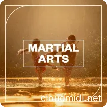 Blastwave FX Martial Arts WAV :-1