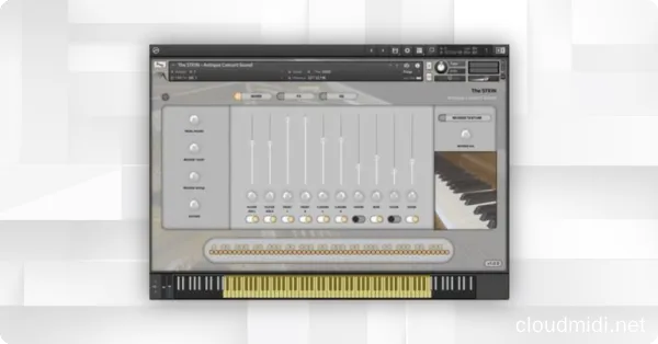 Insanity Samples The Stein Antique Concert Grand Kontakt :-1