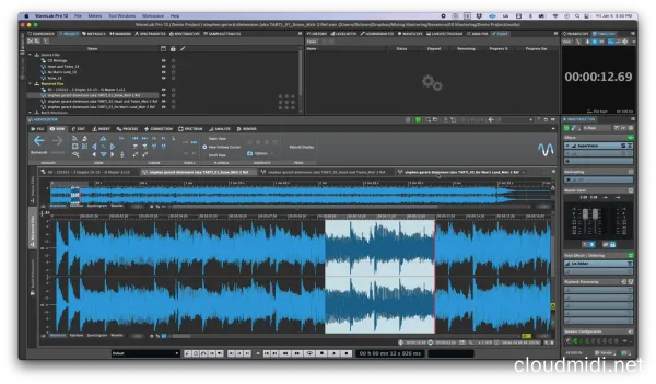 播客音频编辑软件-Steinberg WaveLab 12 Pro v12.0.30 R2R-win :-1