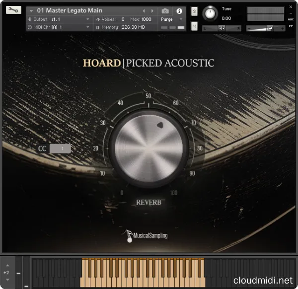 Musical Sampling Hoard Picked Acoustic v1.1.0 Kontakt :-1