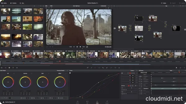 Blackmagic Design DaVinci Resolve Studio v19.0.1 R2R-win :-1