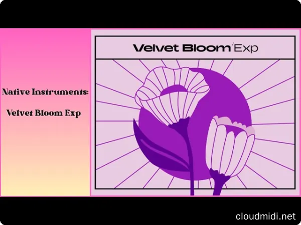 Native Instruments Velvet Bloom Maschine Expansion :-1