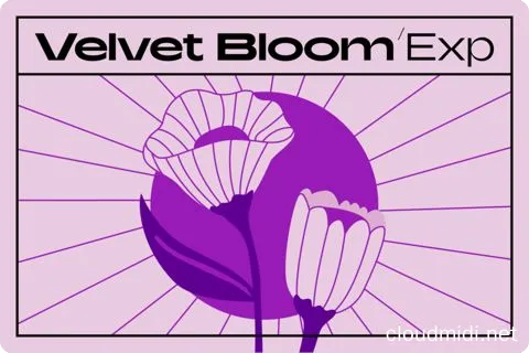 Native Instruments Velvet Bloom MPC Expansion :-1