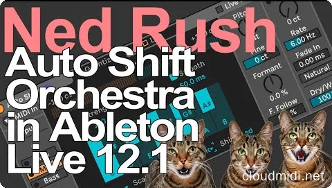 Ned Rush Auto Shift Everything Livestream Project and Samples Ableton Project :-1