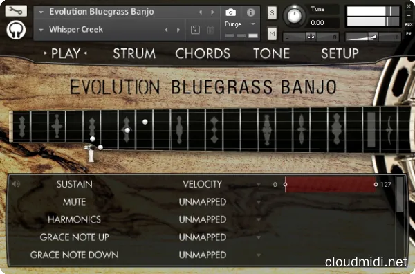 Orange Tree Samples Evolution Bluegrass Banjo v1.2.5 KONTAKT :-1