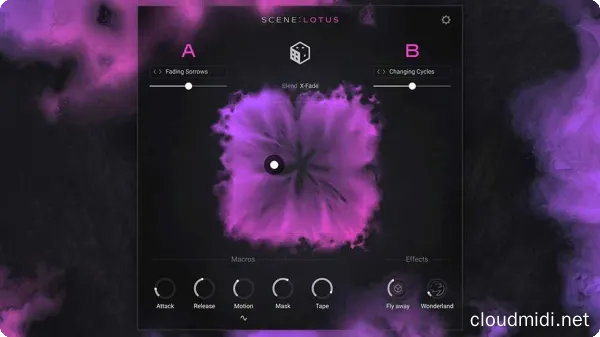 Native Instruments Scene Lotus Kontakt :-1